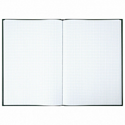 Книга учета 96 л., клетка, твердая, бумвинил, офсет, наклейка, А4 (200х290 мм), BRAUBERG, зеленая, 130280