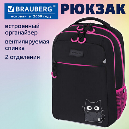 Рюкзак BRAUBERG MAIN, 2 отделения, 3 кармана, "Котик в коробке", 38х26х17 см, 274398