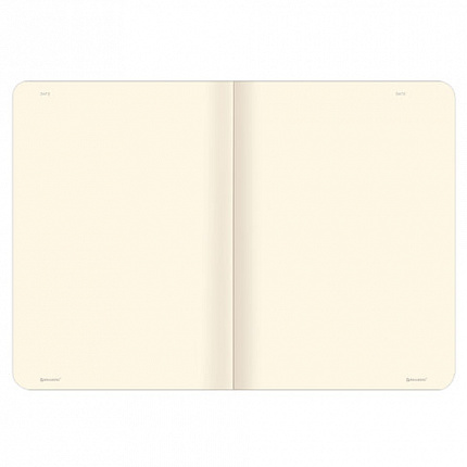 Тетради-скетчбуки 60 л. обложка SoftTouch, НАБОР 2 шт., бежевая бумага 70 г/м2, сшивка, B5 (179х250 мм), ROMANTIC, BRAUBERG, 403832