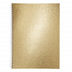 Тетрадь бумвинил А4 96 л. гребень, офсет №1, клетка, "ЗОЛОТО Metallic", HATBER, 077197, 96Т4бвВ1гр