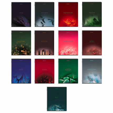 Тетради предметные, КОМПЛЕКТ 13 ПРЕДМЕТОВ, 48 л., SoftTouch, BRAUBERG "PEACEFUL", 405182