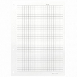 Сменный блок для тетради на кольцах А5, 60 л., BRAUBERG, EXTRA ПЛОТНЫЙ 100 г/м2, клетка, белый, 405017