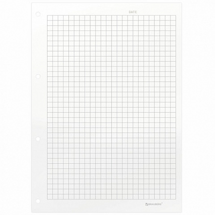 Сменный блок для тетради на кольцах А5, 60 л., BRAUBERG, EXTRA ПЛОТНЫЙ 100 г/м2, клетка, белый, 405017