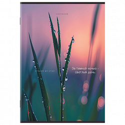 Тетрадь А4 80 л. STAFF "College" скоба, клетка, офсет №2 ЭКОНОМ, обложка картон, ЭСТЕТИКА, 405617