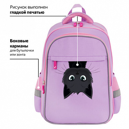 Рюкзак BRAUBERG FAVOUR, 2 отделения, 3 кармана, "Hide and seek", 40х29х15 см, 273122