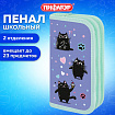 Пенал ПИФАГОР, 2 отделения, ламинированный картон, 19х11 см, "Funny cats", 273481