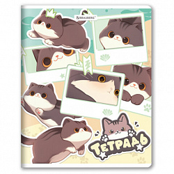 Тетрадь А5 48 л. BRAUBERG скоба, клетка, выборочный лак, кросс-серия МИЛЫЕ КОТЫ, 405193