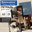 Тетрадь для нот А5, 24 л., обложка мелованный картон, на гребне, BRAUBERG, МИКС1, 405738