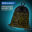 Мешок для обуви BRAUBERG БОЛЬШОЙ, с ручкой, карман на молнии, сетка, 49х41 см, "Smiles", 272403