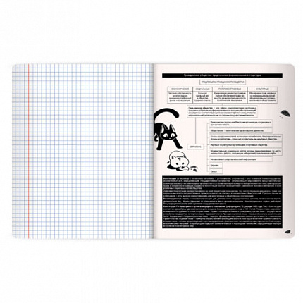 Тетрадь предметная КОТ-НЕПОСЕДА 48л, пластиковая обложка, ОБЩЕСТВОЗНАНИЕ, клетка, подсказ, BRAUBERG, 405528