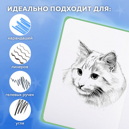 Скетчбук, белая бумага 80 г/м2, 145х203 мм, 80 л., резинка, твердый, FUNSTER, Гусь "Че смотришь?", 116891