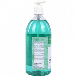 Мыло-крем жидкое с АНТИБАКТЕРИАЛЬНЫМ ЭФФЕКТОМ 1 л ЗОЛОТОЙ ИДЕАЛ "Холодная мята", дозатор, 608285