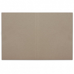 Папка без скоросшивателя "Дело", картон, плотность 300 г/м2, до 200 листов, BRAUBERG, 124571