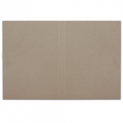 Папка без скоросшивателя "Дело", картон, плотность 300 г/м2, до 200 листов, BRAUBERG, 124571