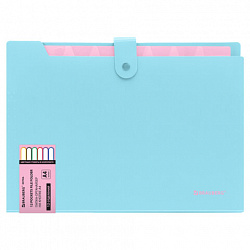 Папка-органайзер на кнопке 12 отделений, BRAUBERG "Extra", А4, голубая с розовым, 271932