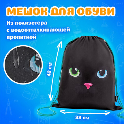 Папка на молнии с ручками А4, мешок для обуви 42х33 см, пенал 20х10 см, "Black cat" НАБОР BRAUBERG, 271434