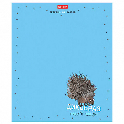 Тетрадь А5, 48 л., HATBER скоба, клетка, матовая ламинация, "Необычные герои" (микс в спайке), 088437, 48Т5лтВ1