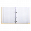 Тетрадь на кольцах А5 (175х215 мм), 240 листов, твердый картон, клетка, BRAUBERG, Miracle, 404093