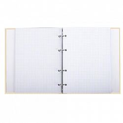 Тетрадь на кольцах А5 (175х215 мм), 240 листов, твердый картон, клетка, BRAUBERG, Miracle, 404093