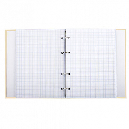 Тетрадь на кольцах А5 (175х215 мм), 240 листов, твердый картон, клетка, BRAUBERG, Miracle, 404093