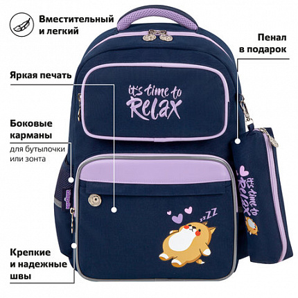 Рюкзак ЮНЛАНДИЯ COMPLETE, с пеналом в комплекте, эрго-спинка, "Bored cat", 42х29х14 см, 272055