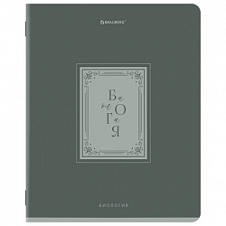 Тетради предметные, КОМПЛЕКТ 12 ПРЕДМЕТОВ, 48 л., рельефный картон, BRAUBERG, "ВИНТАЖ", 405603