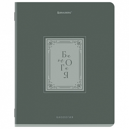 Тетради предметные, КОМПЛЕКТ 12 ПРЕДМЕТОВ, 48л, рельефный картон, BRAUBERG, ВИНТАЖ, 405603