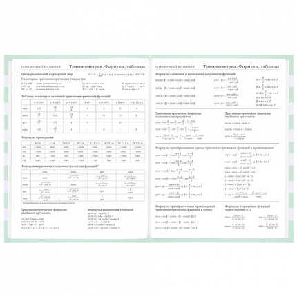 Дневник 1-11 класс 48 л., твердый, BRAUBERG, блестки, с подсказом, "Котик", 106606