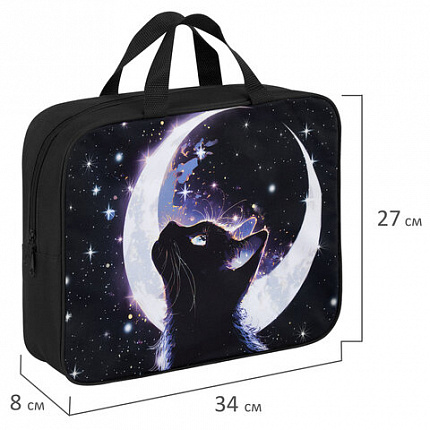 Папка на молнии с ручками BRAUBERG KIDS А4, 1 отделение, полиэстер, 80 мм, "Moon cat", 274513