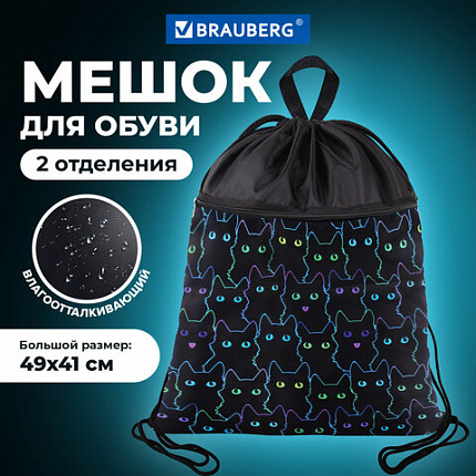 Мешок для обуви BRAUBERG БОЛЬШОЙ, с ручкой, карман на молнии, сетка, 49х41 см, "Cats", 271059