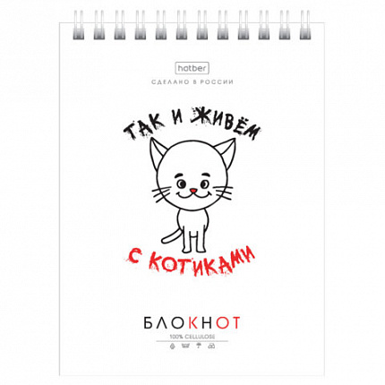 Блокнот МАЛЫЙ ФОРМАТ А6, 40 л., гребень, картон, клетка, HATBER, "Муркомания", 090640, 40Б6В1гр