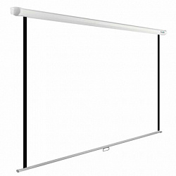 Экран Cactus WallExpert CS-PSWE-200x200-WT, 200x200 см, 1:1, настенно-потолочный, белый