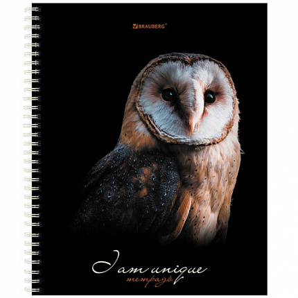 Тетрадь А5 96 л. BRAUBERG, гребень, клетка, твёрдая обложка, "Совы" (микс в спайке), 404443