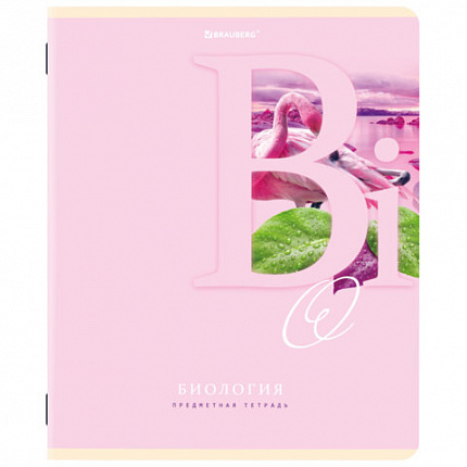 Тетради предметные, КОМПЛЕКТ 12 ПРЕДМЕТОВ, 48 листов, обложка картон, BRAUBERG, "ПАСТЕЛЬНАЯ", 404026