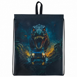 Мешок для обуви BRAUBERG KIDS, с петлей, 42х34 см, "Dino chase", 272416