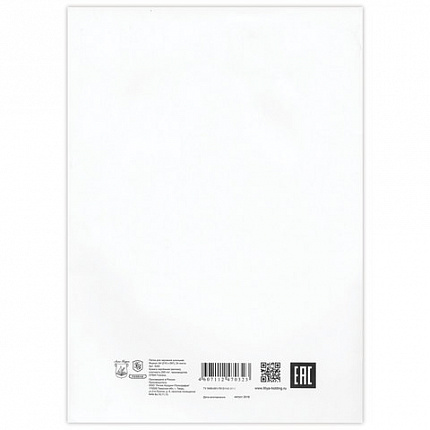 Папка для черчения А4, 210х297 мм, 24 л., 200 г/м2, без рамки, ватман ГОЗНАК СПБФ, 3с62