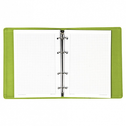 Тетрадь на кольцах А5 (180х220 мм), 120 листов, под кожу, клетка, BRAUBERG "Joy", зелёный/светло-зелёный, 129991