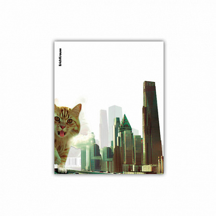 Обложки ПП для тетрадей и дневников ERICH KRAUSE "Big City Cats", КОМПЛЕКТ 12 шт., 80 мкм, 212х347 мм, 63508