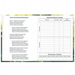 Дневник 1-11 класс 40 л., твердый, BRAUBERG, глянцевая ламинация, "Девочка и кот", 107166