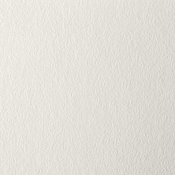 Бумага для пастели БОЛЬШАЯ А3, 20 л., слоновая кость ГОЗНАК 200 г/м2, тиснение Скорлупа, BRAUBERG ART, 126304