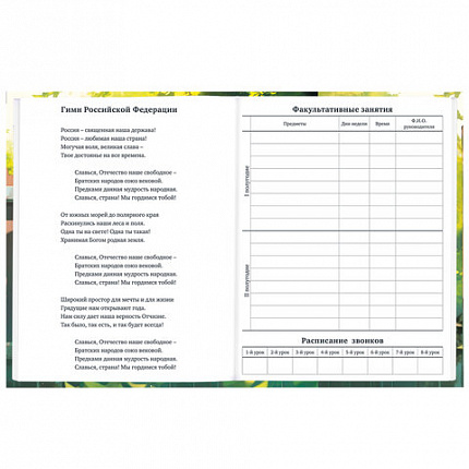 Дневник 1-11 класс 40 л., твердый, BRAUBERG, глянцевая ламинация, "Девочка и кот", 107166