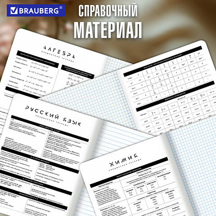 Тетради предметные, КОМПЛЕКТ 12 ПРЕДМЕТОВ 48 л., пластиковая обложка, BRAUBERG "BLACK MODE", 405541