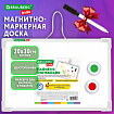Доска магнитно-маркерная двусторонняя 20х30 см, с маркером и 2 магнитами, BRAUBERG KIDS, 238990