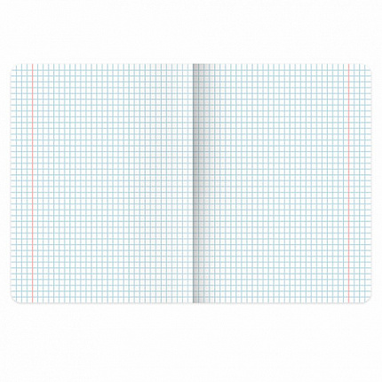 Тетради предметные, КОМПЛЕКТ 13 ПРЕДМЕТОВ, 48 л., SoftTouch, BRAUBERG "PEACEFUL", 405182