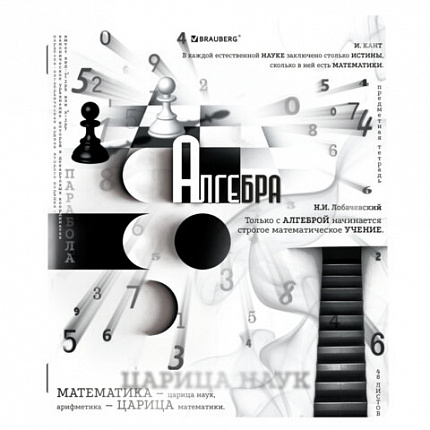 Тетради предметные, КОМПЛЕКТ 12 ПРЕДМЕТОВ, BLACK&WHITE, 48л, матовая ламинация, BRAUBERG, 404835