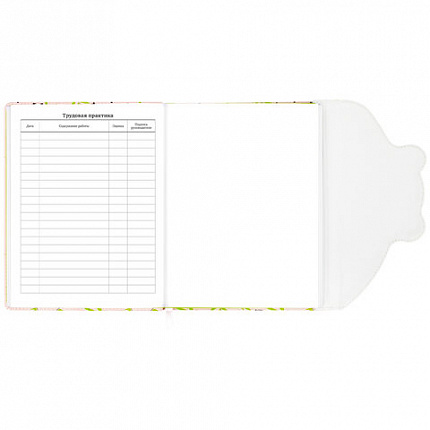 Дневник 1-11 класс 48 л., кожзам (твердая), магнитный клапан, ЮНЛАНДИЯ, "Панда", 106563