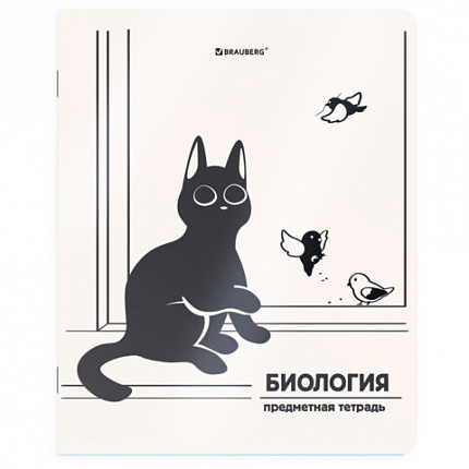 Тетради предметные, КОМПЛЕКТ 12 ПРЕДМЕТОВ 48л, пластиковая обложка, BRAUBERG "КОТ-НЕПОСЕДА", 405542