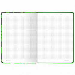 Блокнот с резинкой в клетку 96 л., А5, 145х203 мм, твердая обложка, BRAUBERG, "Calligraphy", 113721