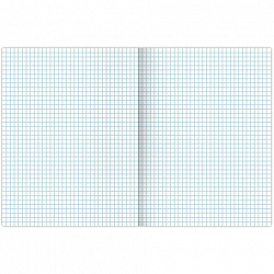 Тетрадь А4, 48 л., BRAUBERG, скоба, клетка, обложка картон, TRAVEL, 404039