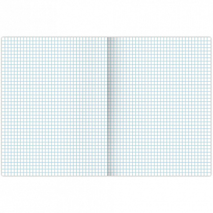 Тетрадь А4, 48 л., BRAUBERG, скоба, клетка, обложка картон, TRAVEL, 404039